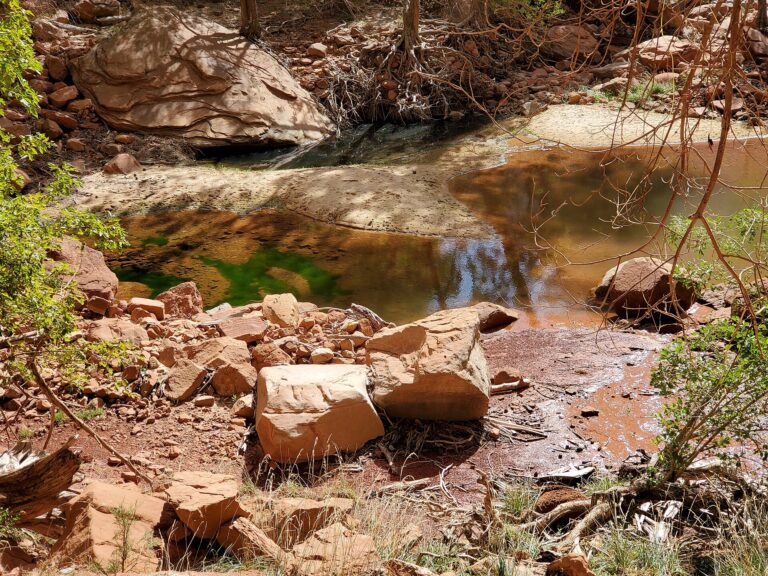 Emerald Pools hiking area at Zion National Park