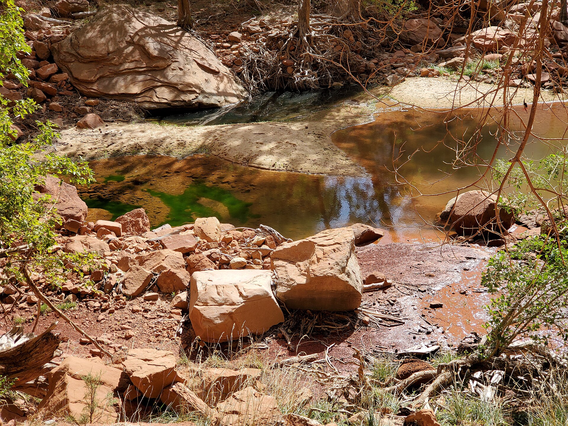Emerald Pools trail scenery in Zion National Park — Zion National Park, attribution and reuse verification pending
