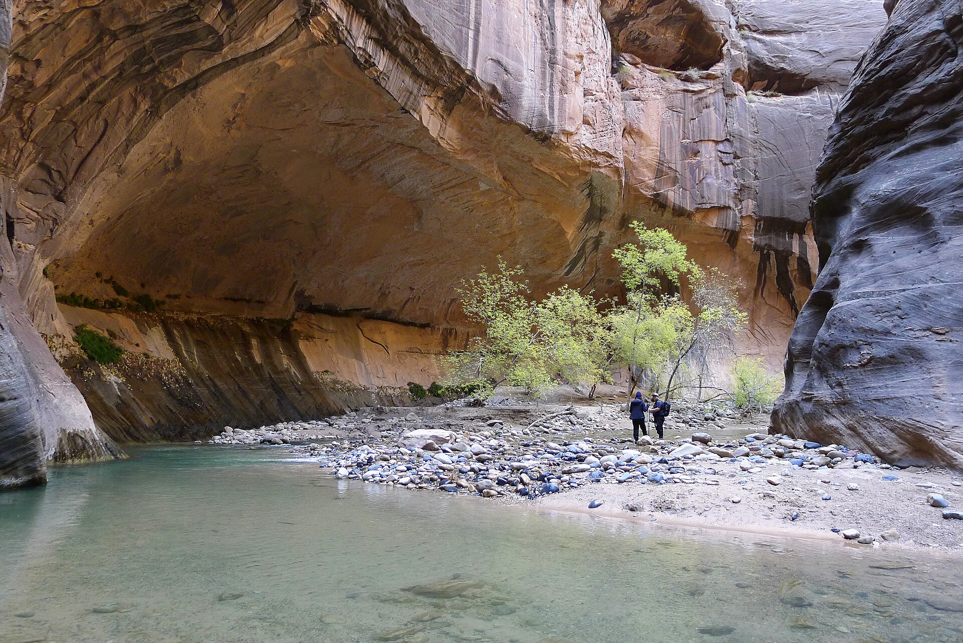Hikers travelling through the river in Zion Narrows — Zion National Park, attribution and reuse verification pending