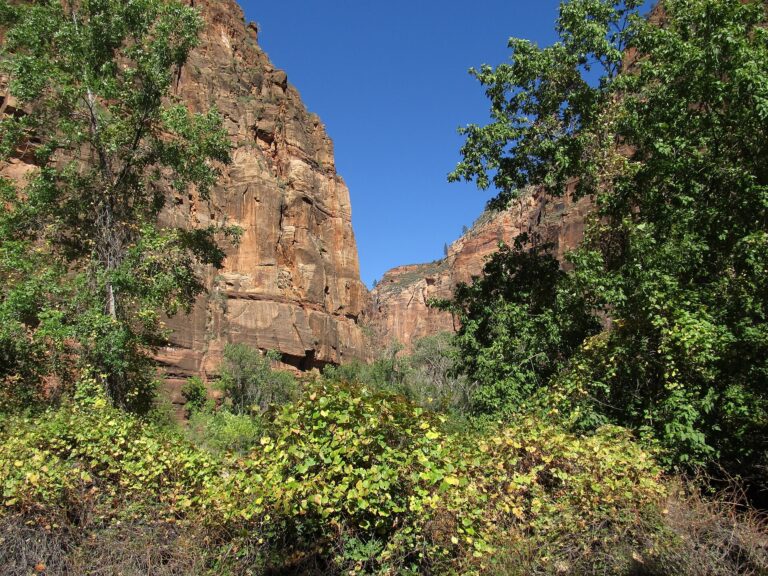 Riverside Walk and Virgin River corridor, Zion National Park