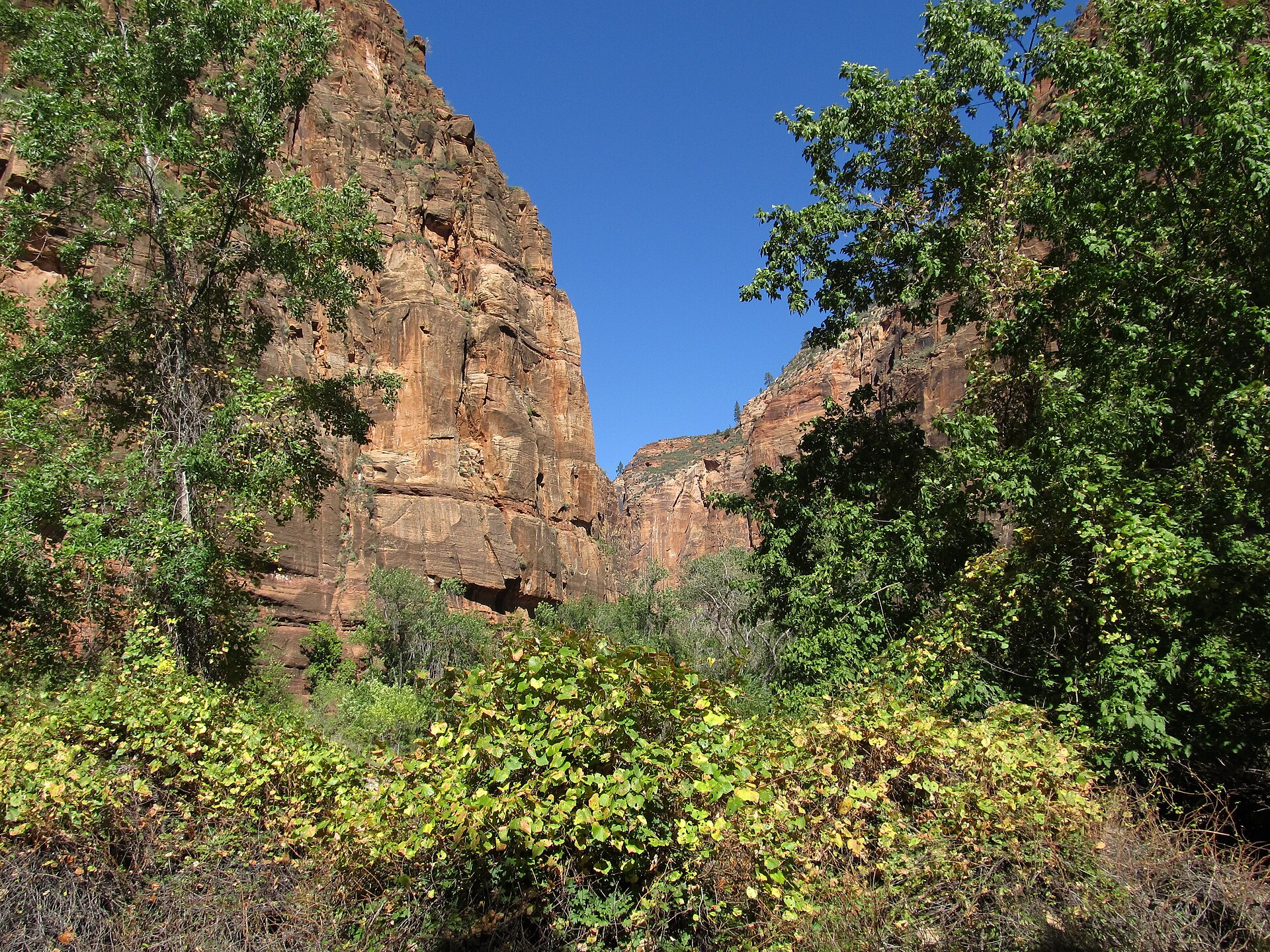 Riverside Walk approach toward the Narrows — Zion National Park, attribution and reuse verification pending
