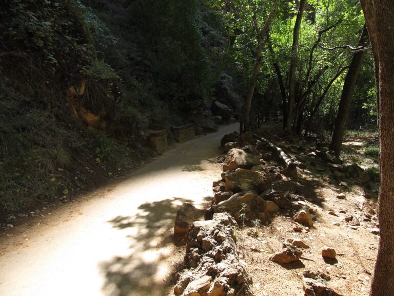 Virigin River and sandstone cliff landscape along Zion Riverside Walk