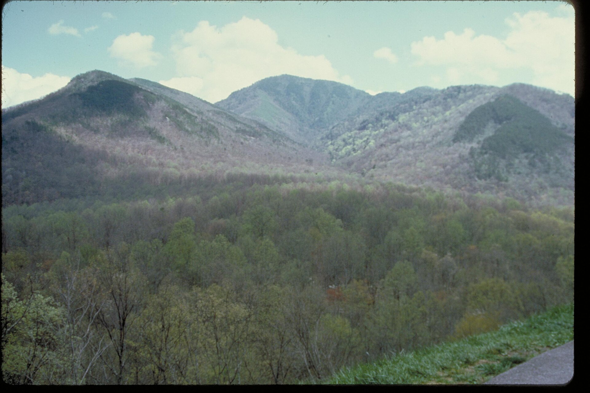 Great Smoky Mountains National Park landscape photograph — attribution and licensing approval pending