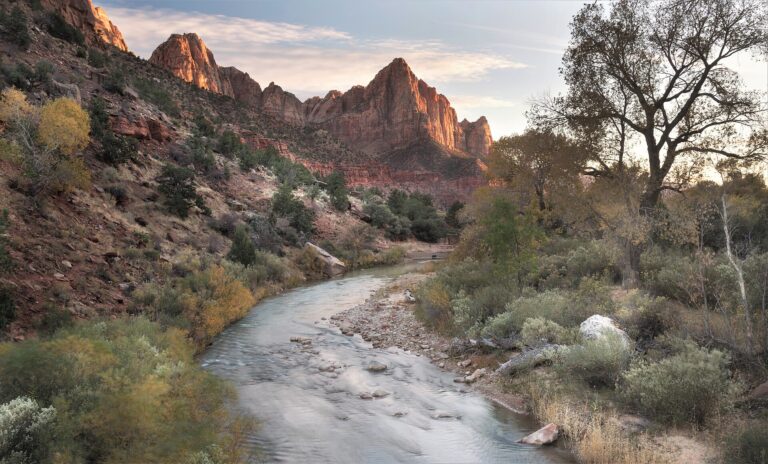 The Watchman and Virgin River in Zion National Park