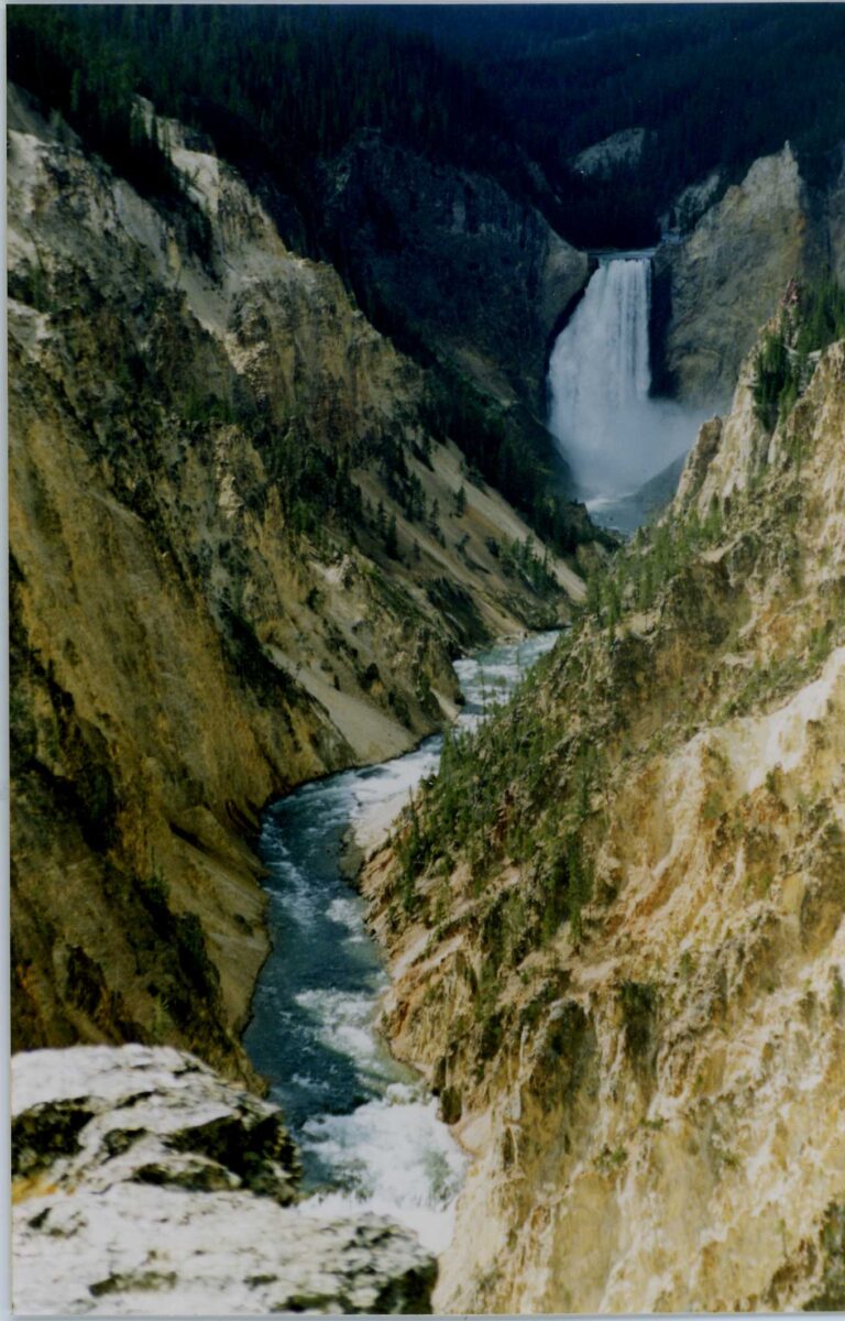 Lower Falls of Yellowstone River dropping into the Grand Canyon of Yellowstone