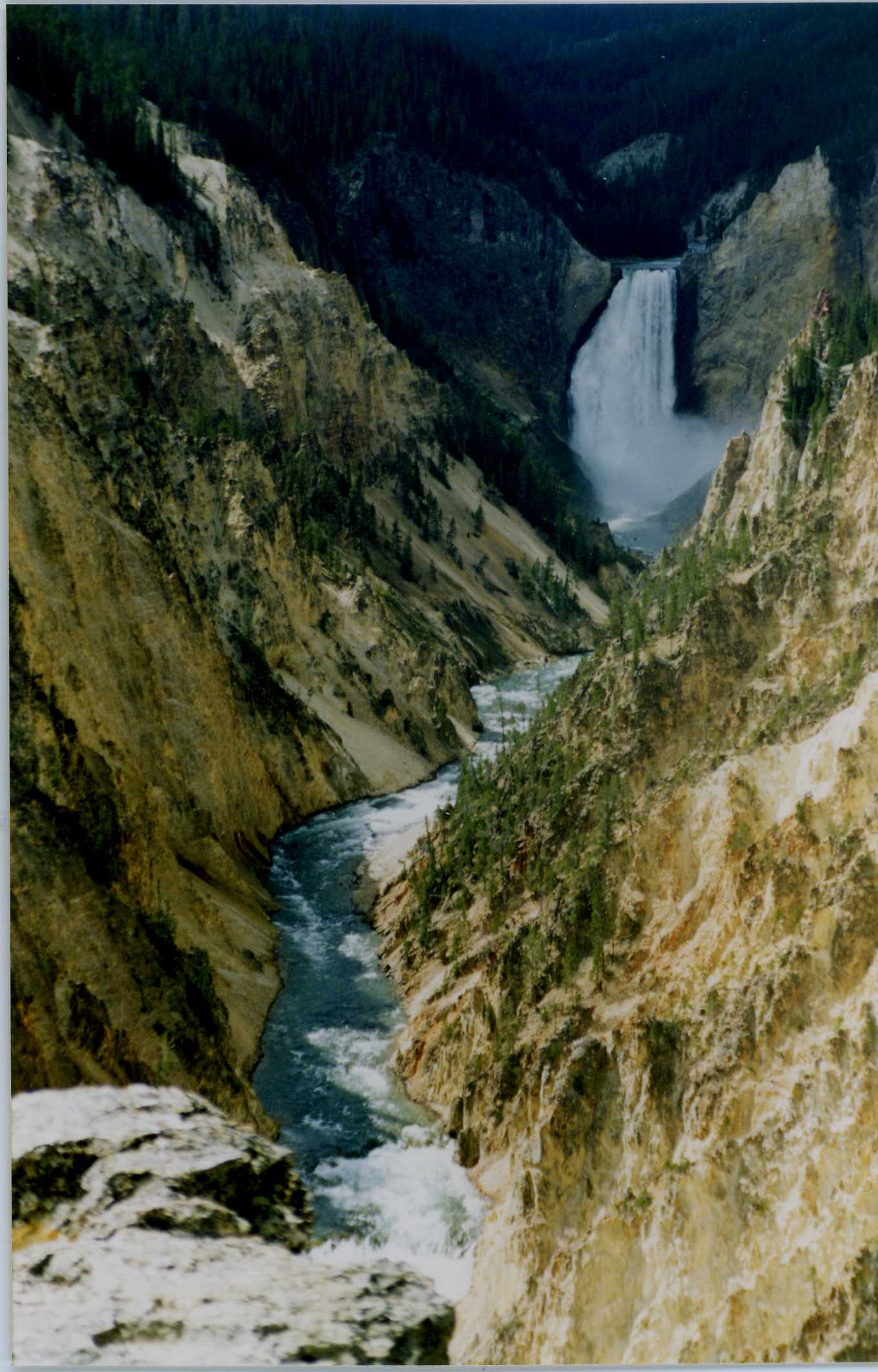 Lower Falls of Yellowstone River dropping into the Grand Canyon of Yellowstone