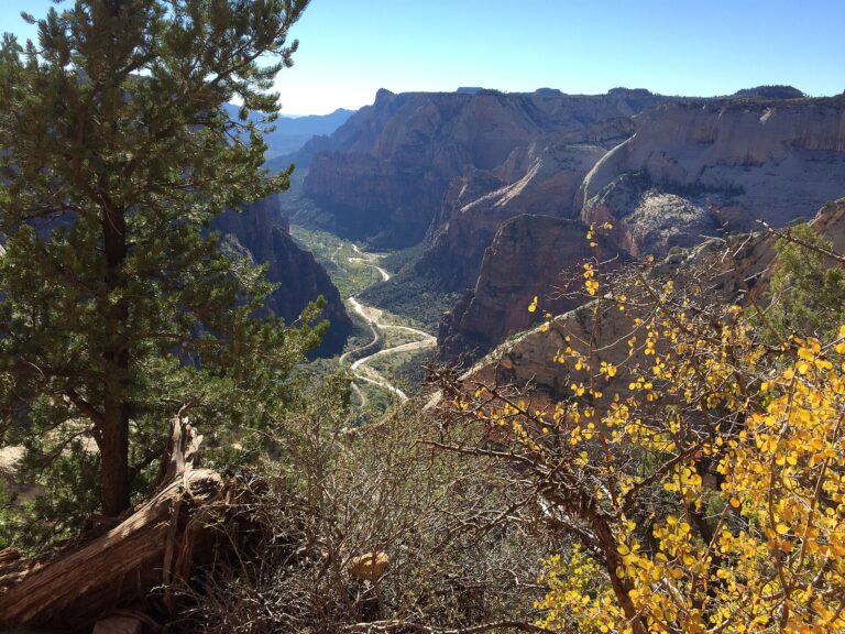 Watchman peak and Virgin River, Zion National Park