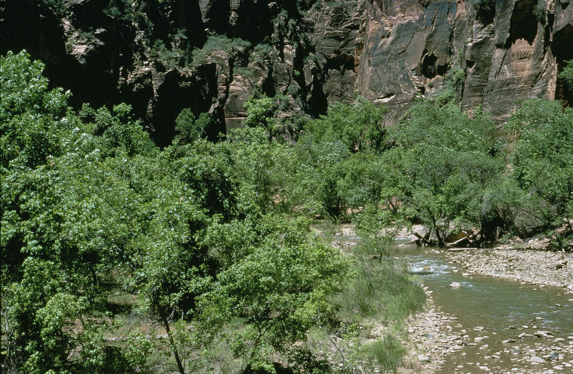 Sandstone canyon landscape in Zion National Park — rights verification pending